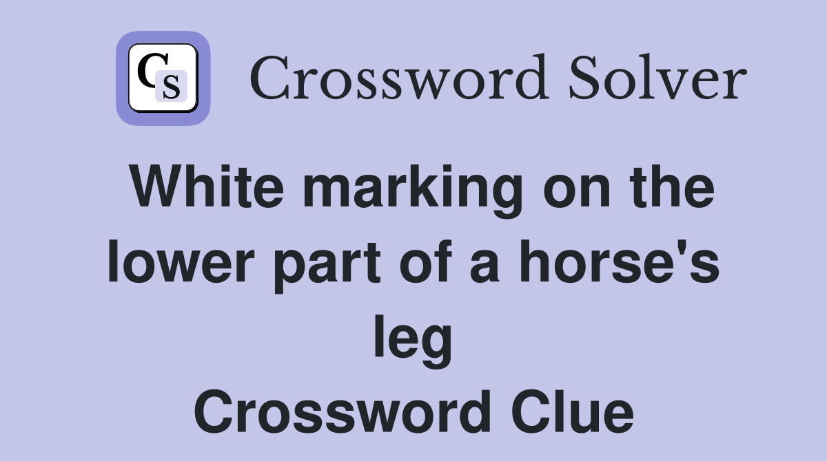 White marking on the lower part of a horse's leg Crossword Clue